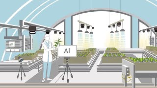 What is plant phenotyping [upl. by Alian]