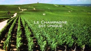 Champagne Campus  le teaser [upl. by Iru]