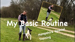 Basic Gundog Training heel with retrieves [upl. by Reffinnej]