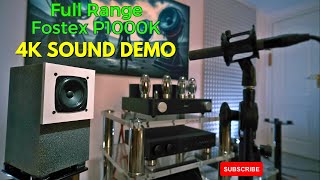 Fostex P1000K 4quot DIY Full Range speakers Sound Demo [upl. by Laurie]