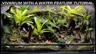 EPIC Vivarium With a Water Feature Bioactive Tutorial [upl. by Glyn]