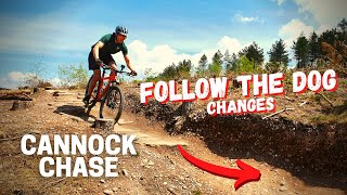 Can a beginner ride the NEW Follow the Dog sections  MTB Cannock Chase [upl. by Aletta391]