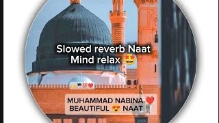 Muhammad NABINA ❤️ slowed reverb ❤️Mind relax 🤩 2024 [upl. by Reppiks]