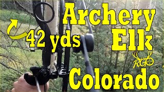 Colorado Archery Elk 2024 Part 2  RGO 452 [upl. by Agate]