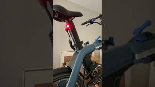 New Fiido D11 Electric Bike failing after 2 days [upl. by Yrmac]