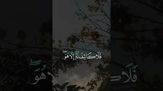 Quran recitationAbdel rahman mossadbeautiful quran recitationshortsvedio islamicstatus [upl. by Rima]