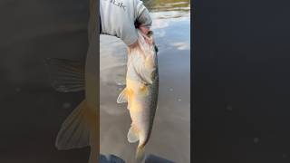 Kayak bass fishing kayaktournamentfishing kayakbassfishing fishing bassfishing [upl. by Rocker]