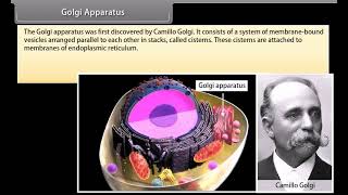 Standard 9 Science The cell organelles II  Quick revision  NCERT  Animation [upl. by Elson]