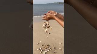 Turning beach treasures into beautiful wall decor—watch the magic of seashells unfold 🌊🌿 Sea [upl. by Atiuqal]