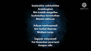 Adiye song lyrics song by Dhibu Ninan Thomas And Kapil Kapilan [upl. by Yleve343]