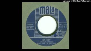 Ronny amp the Daytonas  Sandy  1965 [upl. by Brodench]