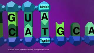 DNA and RNA  Transcription [upl. by Riatsala]