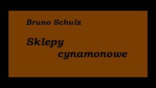 Bruno Schulz Sklepy cynamonowe Traktat o manekinach Dokończenie Audiobook [upl. by Wanyen]