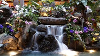 Relaxing amp Peaceful Disney’s Polynesian Resort Waterfalls [upl. by Leksehc]