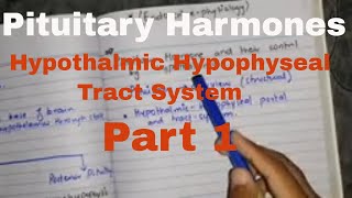 Pituitary hormone and their control by hypothalamus part 1 hypothalmic hypophyseal tract system [upl. by Ramsden]