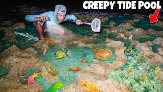 Finding Sea Creatures In CREEPY Tide Pool At NIGHT [upl. by Analeh]