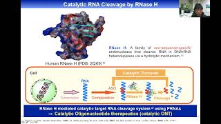 P271 Wada 24OTS [upl. by Sally]