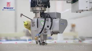 RIchpeace large size 360 rotary head quilting sewing machine video [upl. by Plantagenet]