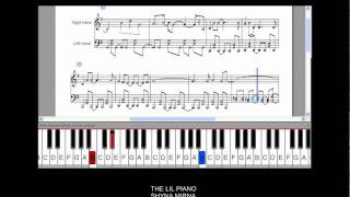 Bleach  Hanabi Piano Tutorial slow speed [upl. by Etsirk10]