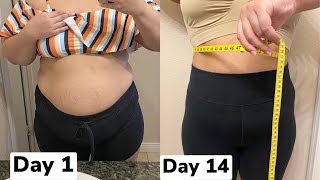 I tried the CHLOE TING TWO WEEKS SHRED CHALLENGE  I AM EXTREMELY OVER WEIGHT PLUS SIZE EDITION [upl. by Nnednarb]