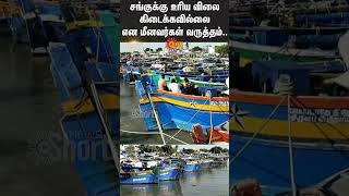 Thoothukudi Fisherman  Sea Shell export  Sun News [upl. by Siednarb]