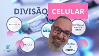 Prof Alexandre Miranda  Divisão celular [upl. by Tartan]