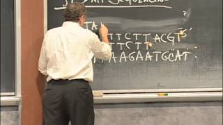 Agarose Gel Electrophoresis DNA Sequencing PCR Excerpt 1  MIT 701SC Fundamentals of Biology [upl. by Novihs984]