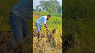 Jay jawan jay kisan [upl. by Eadahs]