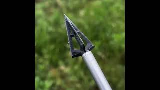 Broadhead Performance Test Discover the Best for Your Huntarrowheads hunting outdoorsshorts [upl. by Berni273]