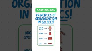 GCSE Biology  Principles of Organisation in 60 Seconds ⏱️ [upl. by Ahcire]