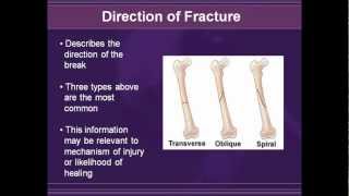 Radiology of Extremity Fractures 2003 [upl. by Sezen]