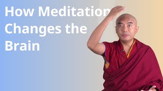 How Meditation Changes the Brain with Yongey Mingyur Rinpoche [upl. by Nalod106]