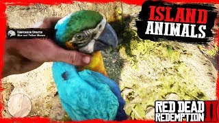 RDR2 Hunting and Skinning ISLAND Guarma Animals Gameplay🤠🤠🤠 [upl. by Magas]