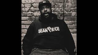 SEAN PRICE  ALL FEATURES RIP [upl. by Aile]