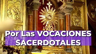 Oración por las Vocaciones Sacerdotales  5 minutos en el Santísimo [upl. by Eduard]