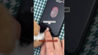 Se puede desbloquear un teléfono con la huella de una mascota 😱 shorts [upl. by Teresina]