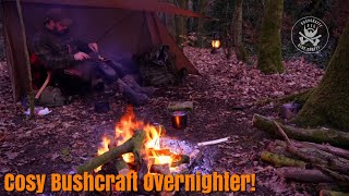 Overnight bushcraft adventure in the onetigris backwoods bungalow 20 [upl. by Avahc]