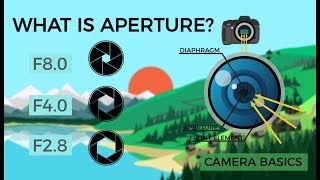 Camera Basics  Aperture [upl. by Percival502]