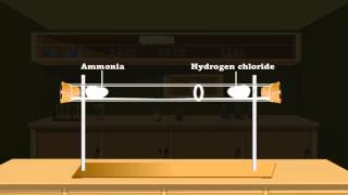 Diffusion in gases [upl. by Anirbas773]