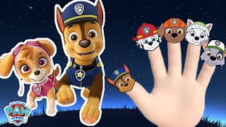 Paw Patrol Finger Family Songs  Nursery Rhymes amp Kids Songs  Paw Patrol Mighty Pups Finger Family [upl. by Anaj]