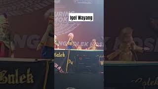 Igel Wayang funny [upl. by Yttiy]