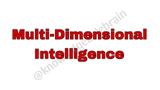 Multi Dimensional Intelligence hindi explanation [upl. by Ravahs]