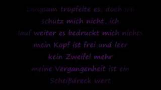 PANIK  LASS MICH FALLEN lyricswmv [upl. by Gnoix]