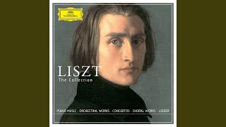 Liszt Mazeppa Symphonic Poem No 6 S 100 [upl. by Bunow865]