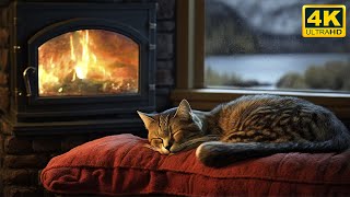 Relax with Purring Cat Crackling Fireplace and Rain sound 4K 🔥 Sleep in Cozy Ambience [upl. by Jeaz]