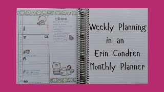 Weekly Planning in an Erin Condren Monthly Planner  16th Sept [upl. by Stasny719]