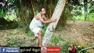 sangeeth satharasinghe  pol kadima  සුරංගේ මසුරං  පොල් කැඩීම [upl. by Lynelle]