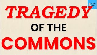 What is the Tragedy of the Commons  WITH EXAMPLES  Think Econ [upl. by Rivalee]