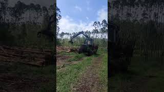 forwarder johndeere 1510G forest viralshorts madera machine [upl. by Siskind]