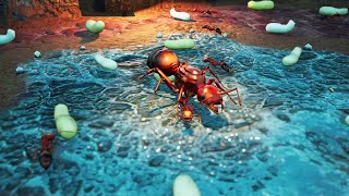 Two Fire Ants Vs Two Matabele Ants Impossible Mode Empires Of The Undergrowth [upl. by Derril]